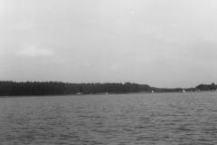 photo_105