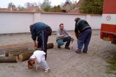 photo_221