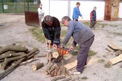 photo_229