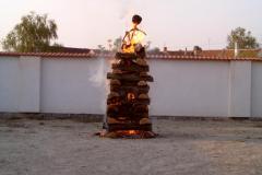 photo_235