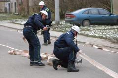 photo_446