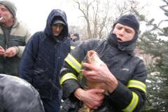 photo_654