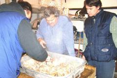 photo_663