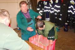 photo_680