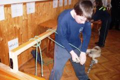photo_773