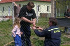 photo_811