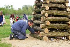 photo_910