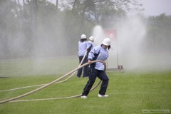 photo_1006