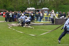 photo_1011