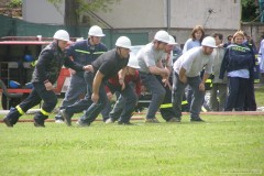photo_967