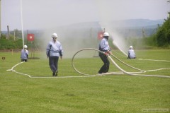 photo_979