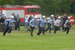 photo_981