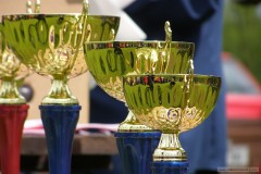 photo_1042