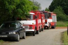 photo_1063