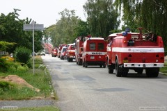 photo_1176