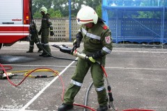 photo_1191