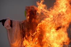 photo_1297