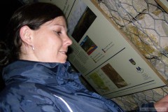 photo_1336