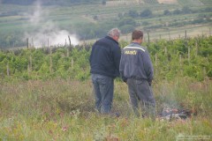 photo_1341