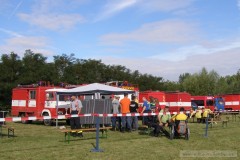 photo_1348