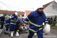 photo_1401