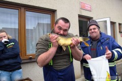 photo_1423