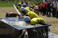photo_1486