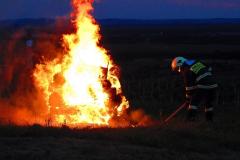 photo_1516