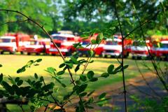 photo_1517
