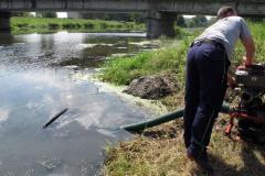 photo_1544