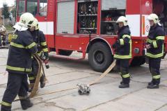 photo_1556
