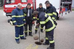 photo_1593