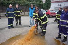 photo_1595