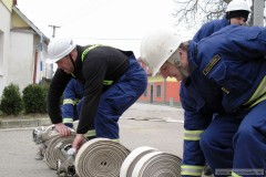 photo_1628