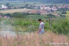 photo_1773