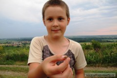 photo_1774