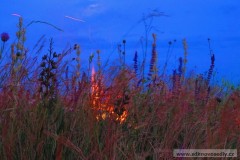 photo_1786