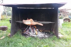 photo_1748