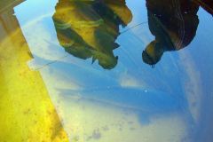 photo_1839