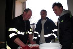 photo_2008