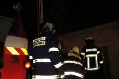 photo_2036