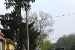 photo_2081