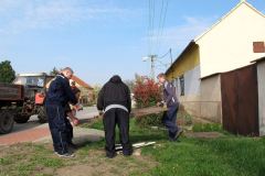 photo_2087