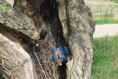 photo_2093