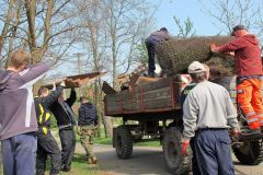 photo_2110