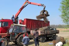 photo_2113