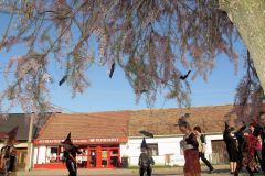 photo_2126