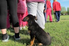 photo_2172