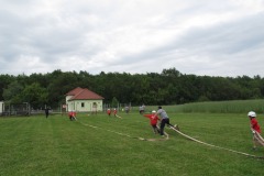 photo_2243