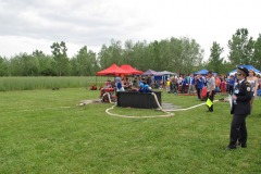 photo_2266